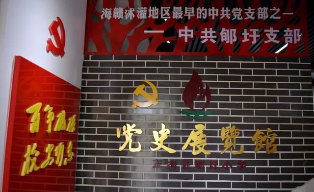 解救金刚鹦鹉